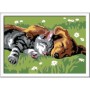 Pictura Pe Numere - Catelus Si Pisicuta Ravensburger - 1